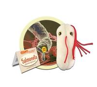 GIANTMICROBES ORIGINAL SALMONELLA Salmonella typhimurium - Peluche virus batteri