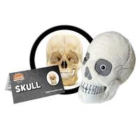 GIANTMICROBES ORIGINAL TESCHIO - Peluche virus batteri cellule organi