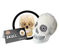 GIANTmicrobes TESCHIO UMANO ORIGINAL PELUCHE SKULL