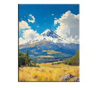 Giappone Dipingi con i Numeri per Adulti, Paint by Numbers Montagna innevata, Kit Pittura Adulti con Vernici e Pennelli, Kit di Pittura Acrilica Fai-da-Te, Decora Casa, 80x110cm Senza Cornice 2w-367