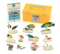 Giappone NUOVO Coral Reef Fish 3D Encyclopedia Real Figure Gift Set