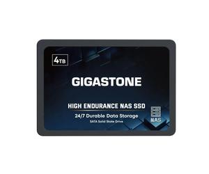 Giappone NUOVO GIGASTONE 4TB Internal SSD NAS SATA III 2.5in High Endurance