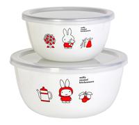 Giappone NUOVO GoodPlus + Miffy Enamel Mixing Bowl Set 14/18 cm EM-MB2-MI ute...