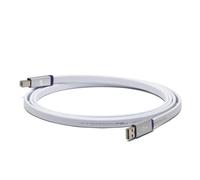 Giappone NUOVO NEO di OYAIDE Elec d + USB classe S rev.2 1,0 m cavo USB
