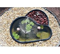 Giardini d'Acqua Laghetto da Giardino Nero Modello Fusine Lt 150 Stagno Preformato Piante Pesci