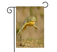 Giardino Bandiera African Bullfrog Carnivorous Voracious Eater Eating Animals Natural Wildlife Large Resistente Alle Intemperie Bandiera In Poliestere, Per Eventi, Feste Estive, 30x45cm