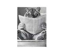 Giardino Bandiera Big Cat Funny Toilet Stagione Bandiera Resistente Alle Intemperie Striscione All'Aperto, Per All'Aperto Al Coperto, Feste Estive, Balcone, 30x45cm