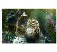 Giardino Bandiera Fairy Tale Owl Butterfly Tree Flowers Bird Bandiera Militare Rinforzata 2 Occhielli Metallici Striscione All'Aperto, Per Balcone, Celebrazioni, Feste Strada, 90x150cm
