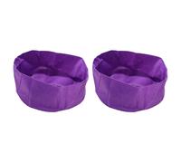 Giardino Coltura Sacca, 30 Galloni, Viola 2pz