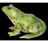 Giardino - Grande Ranocchio Verde - HotAnt Anfibio Figura Animale Decorazione -