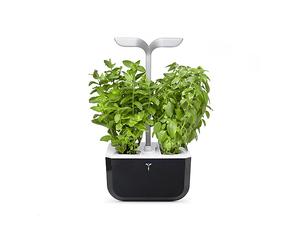 GIARDINO INDOOR VERITABLE Exky SMART Soft Intelligente LED Adapt’Light 2 Piante Autonomia 4 Settimane