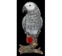 Giardino Pappagallo - Grigio Africano - HotAnt Figura di Uccello Animale Deko -