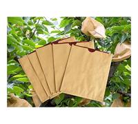 Giardino pianta proteggere sacchi di rete protezio 100pcs Fruit Protection Bag, Double Layer Waterproof Grow Bags, Agriculture Orchard Breeding Bag For Peach/Apple/Pear, Pest Control Anti-bird(Red Ins