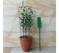 Giardino Pomodoro Acciaio Gabbia Fiore Traliccio Verdura Stand Pianta Supporto