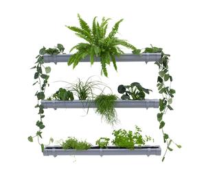 Giardino verticale, parete verde