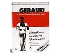 GIBAUD GINOCCH BIEST FELP CAM1