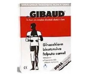 GIBAUD GINOCCH BIEST FELP CAM2