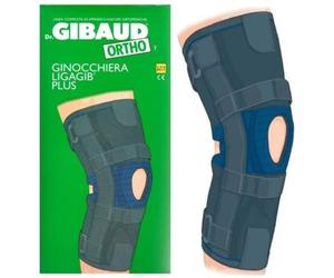 GIBAUD-ORT.Gin.Ligagib Art.3