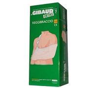 gibaud -ort.reggibr.3
