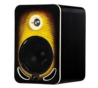 Gibson LP6 Tobacco Monitore di Referenza Biamplificato, Multicolore