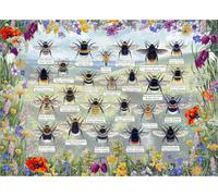 Gibsons Puzzle Api Brillanti 1000 pezzi