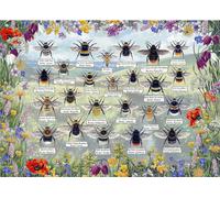 Gibsons - Puzzle Api brillanti - 1000 Pezzi