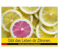 Gibt das Leben dir Zitronen, frag nach Zucker und Gewürzen! (Wandkalender 2026 DIN A2 quer), CALVENDO Monatskalender: Jetzt gibt's Saures!