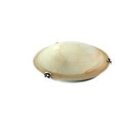 GICOS SRL Lampada plafoniera applique tonda in vetro colori assortiti bianca o ambra 3 luci 40 cm da soffitto ORM-497711