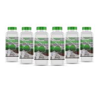 GiDeli Bioetanolo 6 x 1 l profumo forestale 96,6% etanolo per camini interni ed esterni, senza fumo e fuliggine, da mais e barbabietola da zucchero