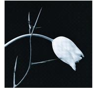 Gidon Kremer Astor Piazzolla - El Tango [CD]