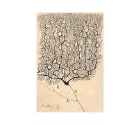 GIEIG Poster da parete su tela, motivo: Neuron Drawing By Santiago Ramón Y Cajal-standard-scale-2_00x-gigapixel, decorazione per camera da letto, ufficio, cucina, regalo, senza cornice, 16