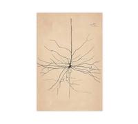 GIEIG Pyramida Neuron Drawing From Santiago Ramón Y Cajal Poster per l'estetica della stanza, stampa artistica da parete su tela, senza cornice, 30 x 45 cm