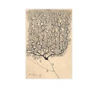 GIEIG Stampa artistica da parete su tela con disegno neuronale di Santiago Ramón Y Cajal, decorazione moderna per camera da letto, senza cornice, 50 x 75 cm