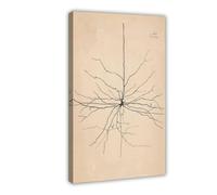 GIEIG Stampa artistica da parete su tela con immagine di Pyramida Neuron Drawing From Santiago Ramón Y Cajal, stampa artistica da parete su tela, 60 x 90 cm