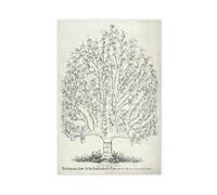 GIEIG Stampa artistica da parete su tela con scritta in inglese "The Common Law In The Similitude Of A Tree" del 1878, avvocato avvocato, per ufficio, estetica, senza cornice, 50 x 75 cm