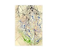 GIEIG Stampa artistica da parete su tela, motivo: Santiago Ramón Y Cajal, cellule nervose di Cajal, decorazione moderna per camera da letto, senza cornice, 50 x 75 cm