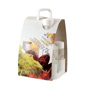 Gierre 6504901 Oliera, Vetro, Multicolore