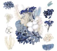 GIFANEO Fio ri Secchi Decorativi,Fio ri Se cchi Veri,Combinazione di Fi ori Naturali ,Fi ori S ecchi per,Fi ori Se cchi per Resina ,Decorazione floreale,Crafts,Fio re Essiccato Naturale per Fai da Te