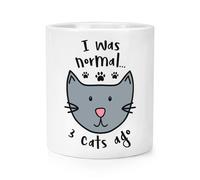Gift Base I Was Normal 3 Cats Ago Makeup Brush Pencil Pot - Crazy Cat Lady