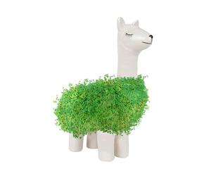 Gift Republic Fioriera a Forma di Lama, Colore: Bianco