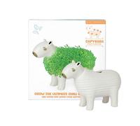 Gift Republic Fioriera Chia in ceramica, bianca, media