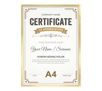 Giftgarden Cornice A4,Cornice in Alluminio Spazzolato Dorato,Set da 1