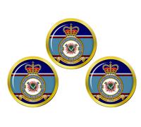 Giftshop UK 7 Force Protection Wing RAF Marcatori Pallina da Golf Dorati