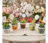 giftupstore Bomboniera per gli ospiti, set di vasi per piante grasse con etichette in legno per regali di addio al nubilato, elegante bomboniera di ritorno, vaso in ceramica per bomboniere baby shower