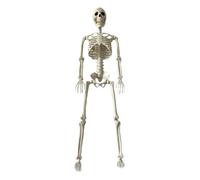 gifyym Halloween Skeleton Decor - 3ft Posable Bones | Full Body Prop