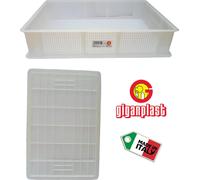 Giganplast Cassette alimentari Service forate 60x40x13 cm Bianco Art.1880Hd2