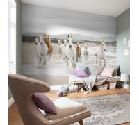 Gigante Carta da Parati 368x254cm Bianco Cavalli Letto Rivestimento Parete Decor