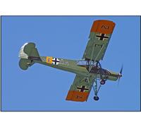 Gigante Scala Tedesco Ww-Ii Fieseler Fi 156 Storch Plans E Modelli 90ws