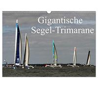 Gigantische Segel-Trimarane (Wandkalender 2026 DIN A3 quer), CALVENDO Monatskalender: Die gigantischen 70ft. Segel-Trimarane liefern sich packende Rennen auf engstem Raum