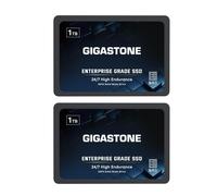 Gigastone Enterprise SSD NAS da 1 TB Cache unit SSD (confezione da 2) TLC durevole 24 ore su 24, 7 giorni su 7 Server aziendale ad alta resisten